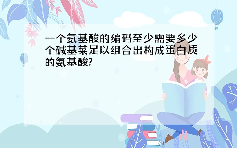 一个氨基酸的编码至少需要多少个碱基菜足以组合出构成蛋白质的氨基酸?