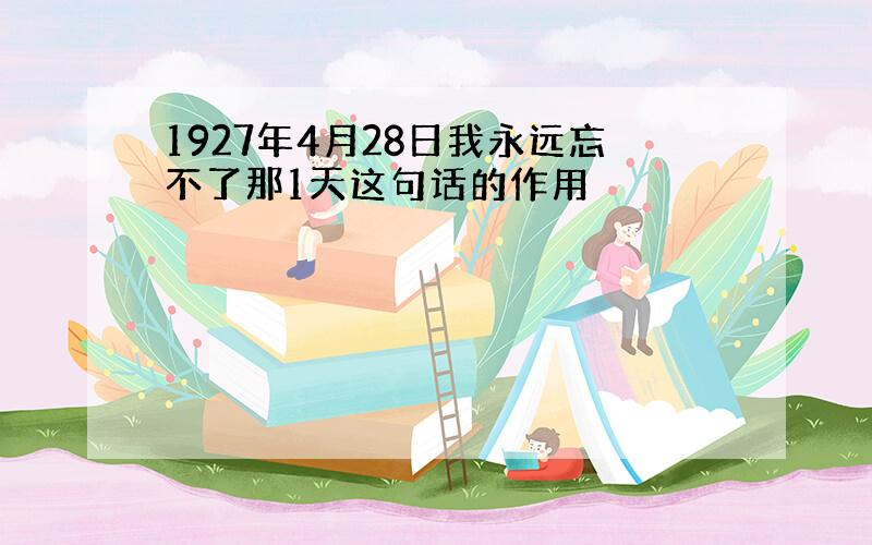 1927年4月28日我永远忘不了那1天这句话的作用