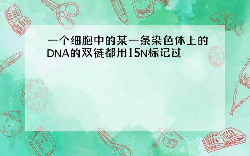 一个细胞中的某一条染色体上的DNA的双链都用15N标记过