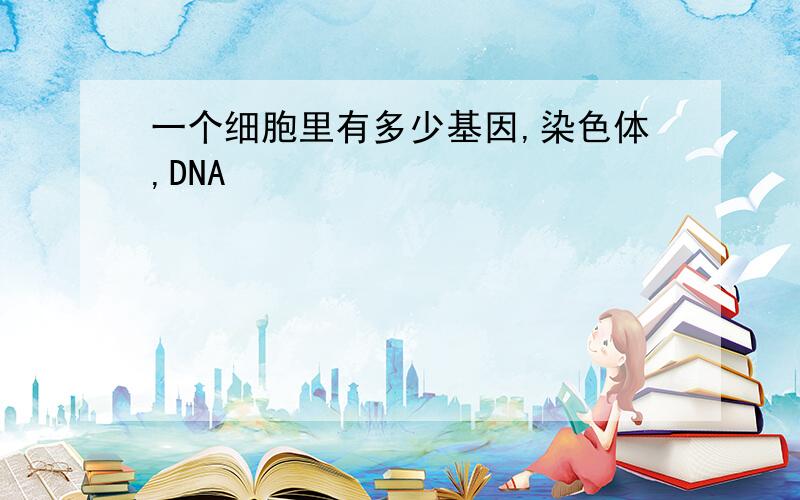 一个细胞里有多少基因,染色体,DNA