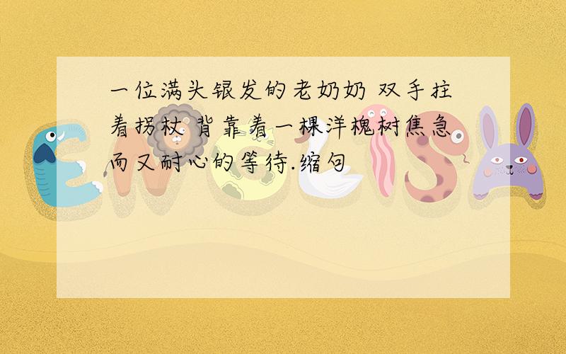 一位满头银发的老奶奶 双手拄着拐杖 背靠着一棵洋槐树焦急而又耐心的等待.缩句