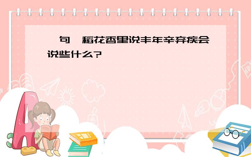 一句"稻花香里说丰年辛弃疾会说些什么?