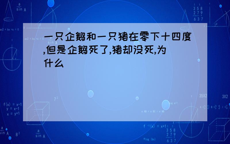 一只企鹅和一只猪在零下十四度,但是企鹅死了,猪却没死,为什么