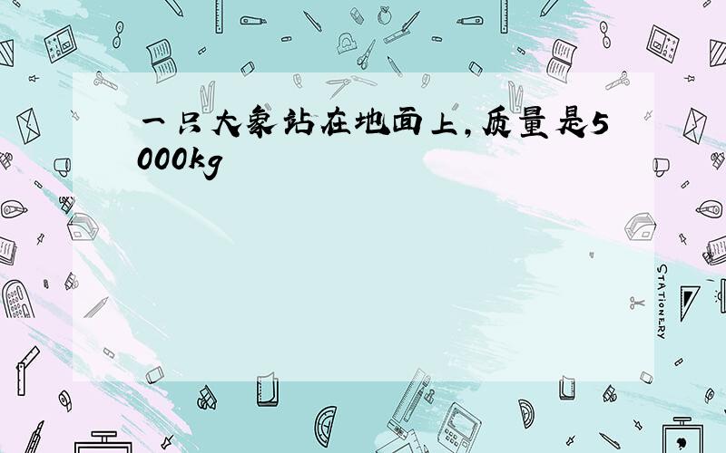 一只大象站在地面上,质量是5000kg