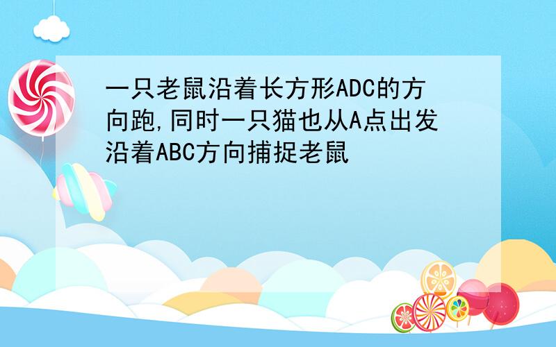 一只老鼠沿着长方形ADC的方向跑,同时一只猫也从A点出发沿着ABC方向捕捉老鼠