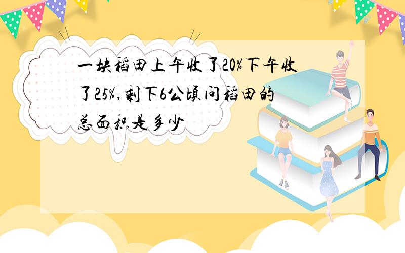 一块稻田上午收了20%下午收了25%,剩下6公顷问稻田的总面积是多少