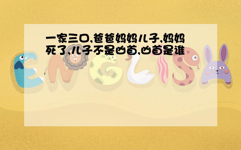 一家三口,爸爸妈妈儿子,妈妈死了,儿子不是凶首,凶首是谁