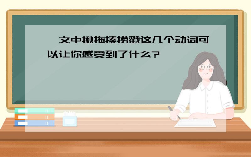 一文中揪拖揍捞戳这几个动词可以让你感受到了什么?