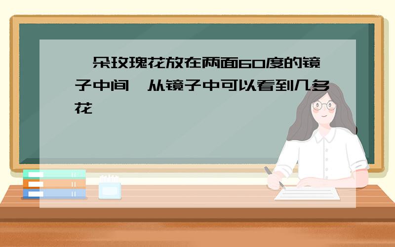 一朵玫瑰花放在两面60度的镜子中间,从镜子中可以看到几多花