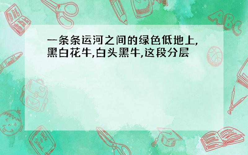 一条条运河之间的绿色低地上,黑白花牛,白头黑牛,这段分层