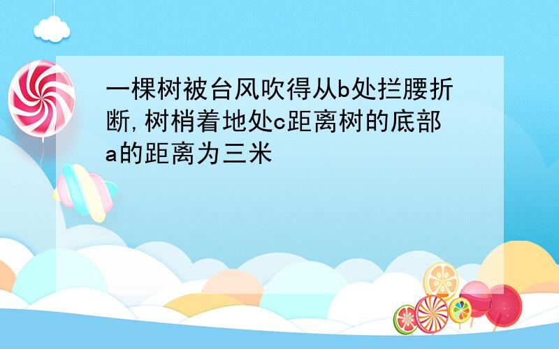 一棵树被台风吹得从b处拦腰折断,树梢着地处c距离树的底部a的距离为三米