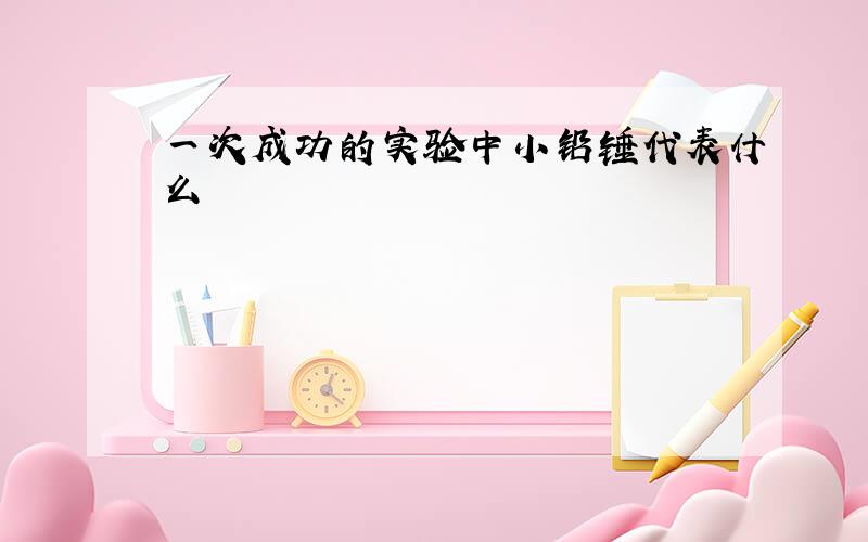 一次成功的实验中小铅锤代表什么