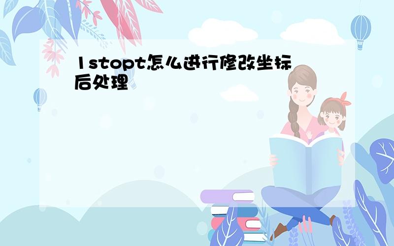 1stopt怎么进行修改坐标后处理