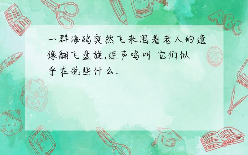 一群海鸥突然飞来围着老人的遗像翻飞盘旋,连声鸣叫 它们似乎在说些什么.