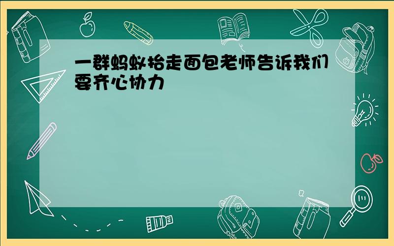 一群蚂蚁抬走面包老师告诉我们要齐心协力