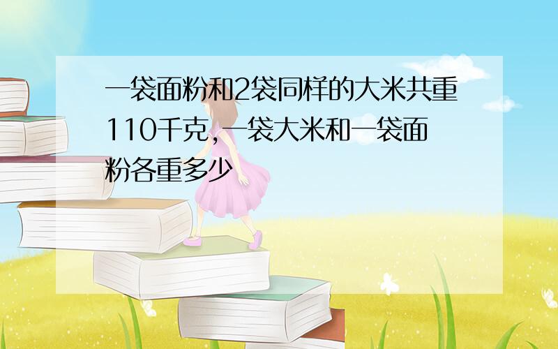 一袋面粉和2袋同样的大米共重110千克,一袋大米和一袋面粉各重多少