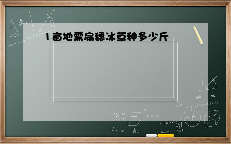 1亩地需扁穗冰草种多少斤