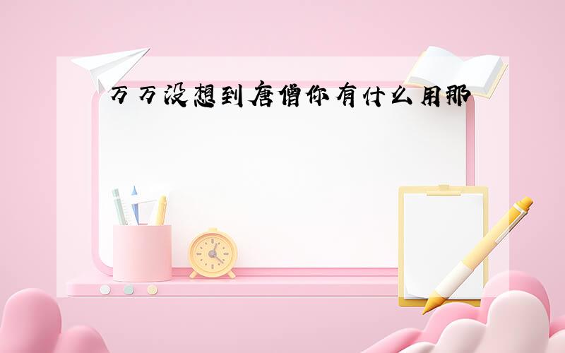 万万没想到唐僧你有什么用那