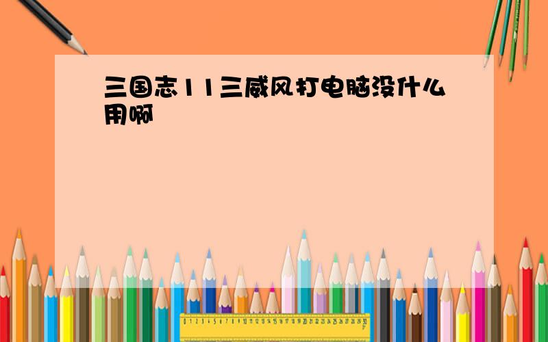 三国志11三威风打电脑没什么用啊