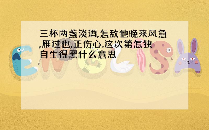 三杯两盏淡酒,怎敌他晚来风急,雁过也,正伤心.这次第怎独自生得黑什么意思