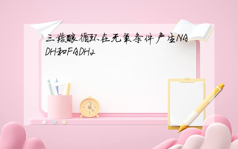 三羧酸循环在无氧条件产生NADH和FADH2