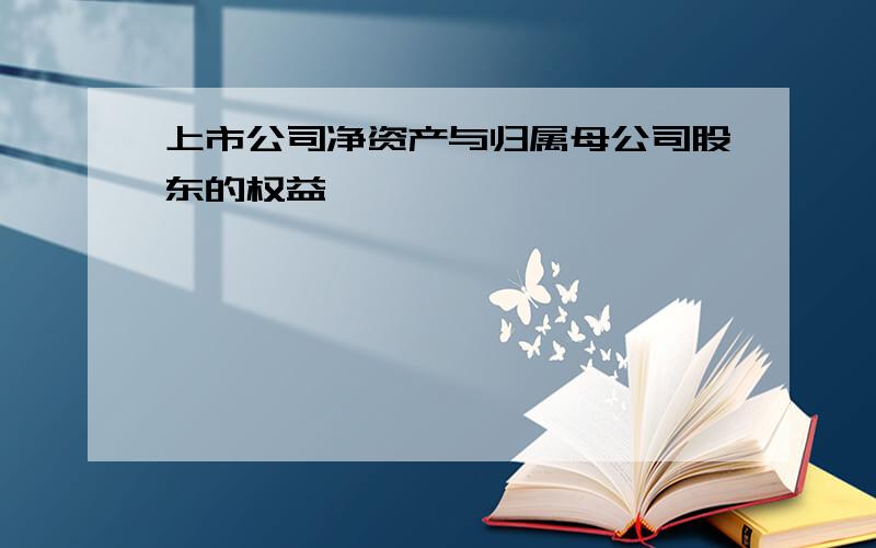 上市公司净资产与归属母公司股东的权益