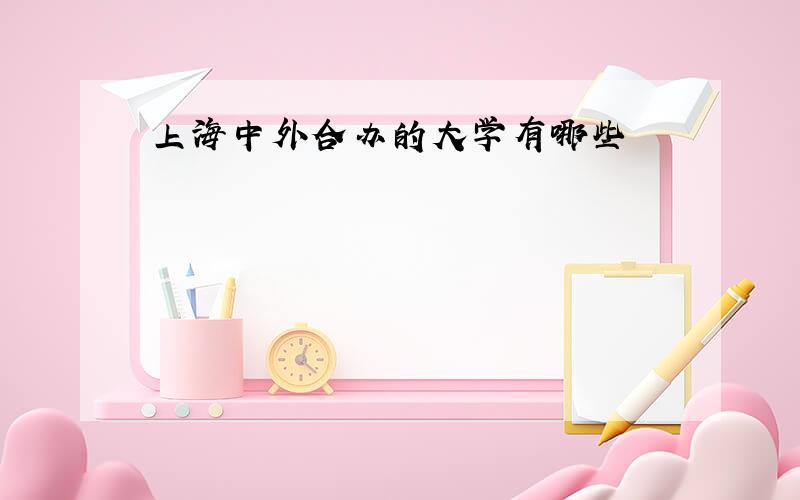 上海中外合办的大学有哪些