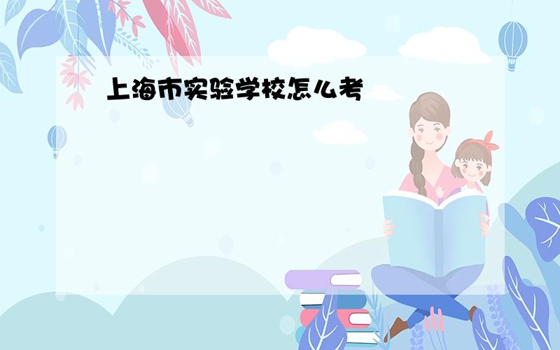 上海市实验学校怎么考