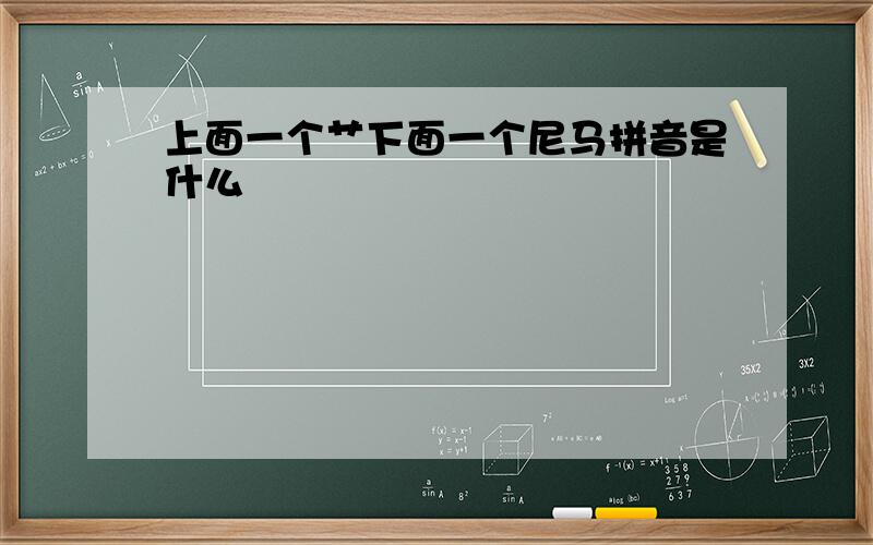 上面一个艹下面一个尼马拼音是什么