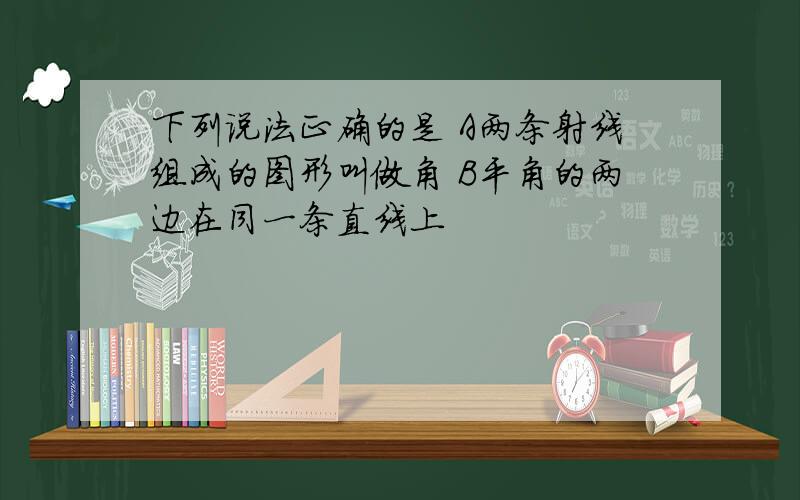 下列说法正确的是 A两条射线组成的图形叫做角 B平角的两边在同一条直线上