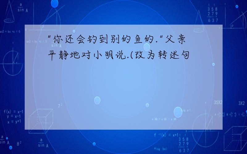 "你还会钓到别的鱼的."父亲平静地对小明说.(改为转述句