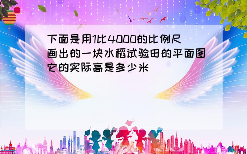 下面是用1比4000的比例尺画出的一块水稻试验田的平面图它的实际高是多少米