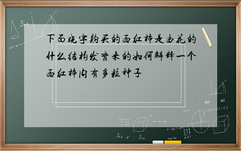 下面晓宇购买的西红柿是由花的什么结构发育来的如何解释一个西红柿内有多粒种子