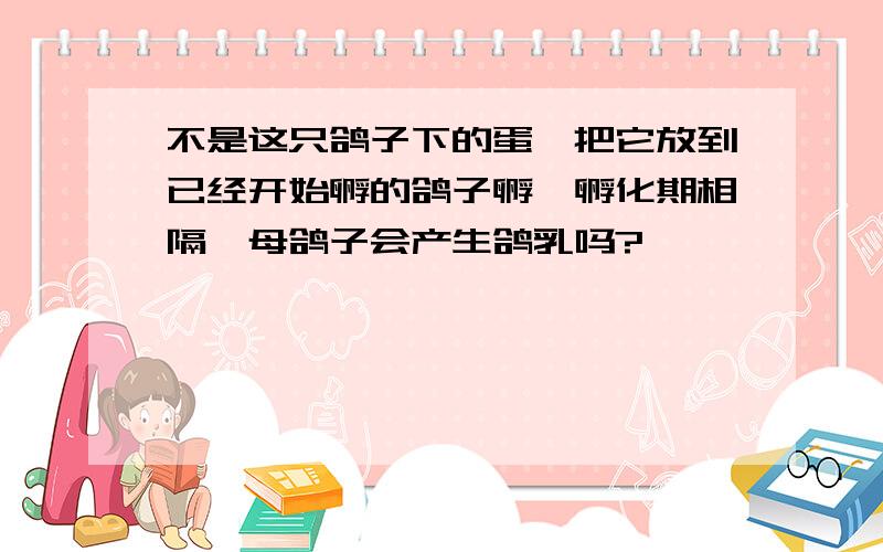 不是这只鸽子下的蛋,把它放到已经开始孵的鸽子孵,孵化期相隔,母鸽子会产生鸽乳吗?