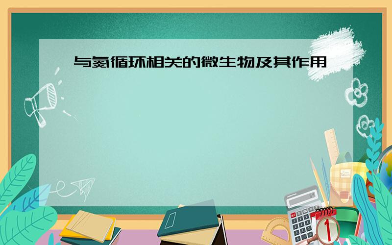 与氮循环相关的微生物及其作用