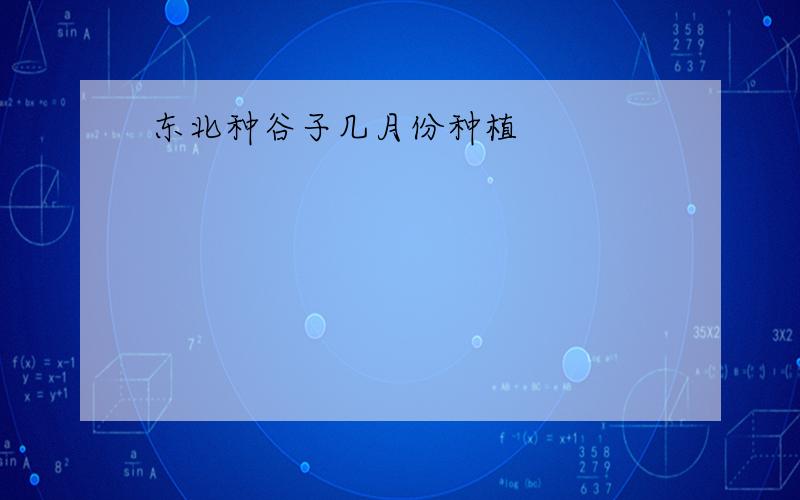 东北种谷子几月份种植