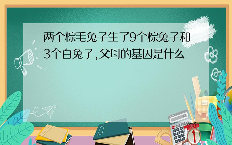 两个棕毛兔子生了9个棕兔子和3个白兔子,父母的基因是什么