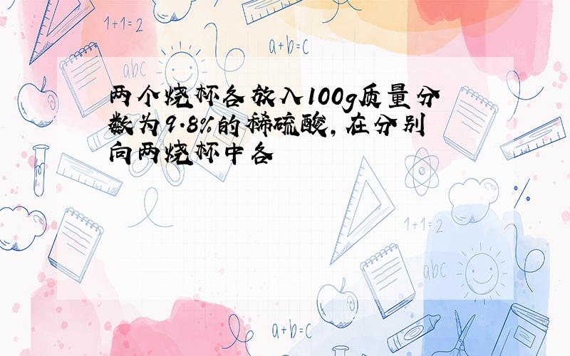 两个烧杯各放入100g质量分数为9.8%的稀硫酸,在分别向两烧杯中各