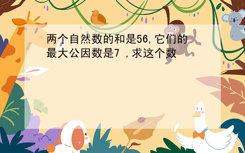 两个自然数的和是56,它们的最大公因数是7 ,求这个数