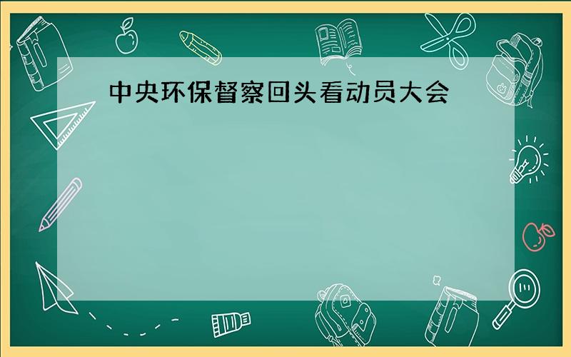 中央环保督察回头看动员大会