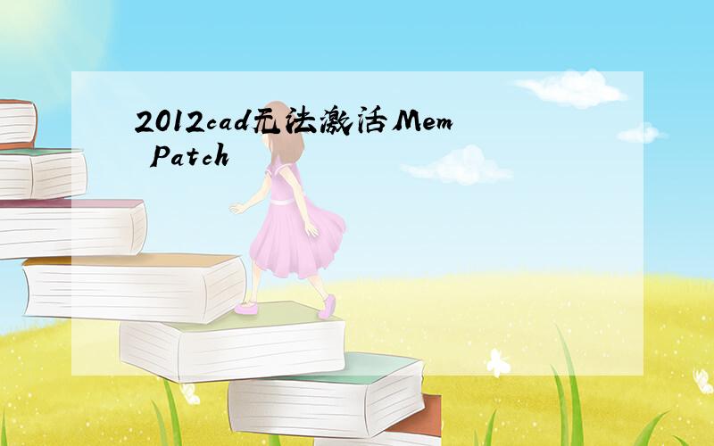 2012cad无法激活Mem Patch