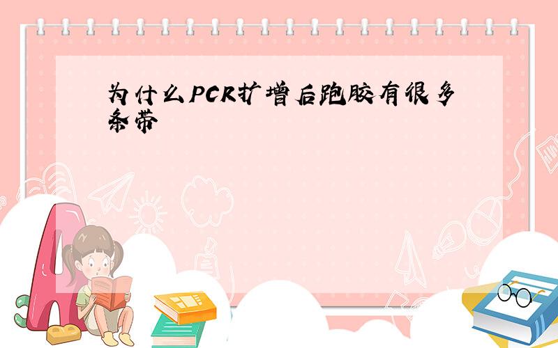 为什么PCR扩增后跑胶有很多条带