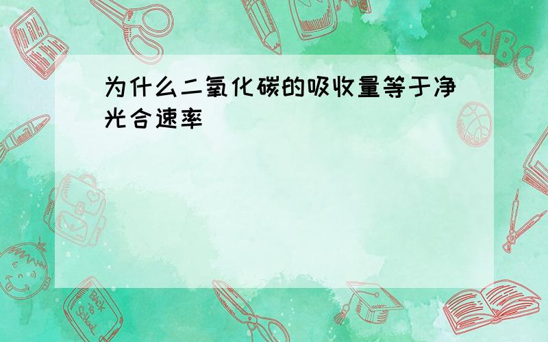 为什么二氧化碳的吸收量等于净光合速率