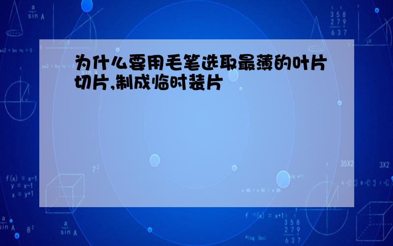 为什么要用毛笔选取最薄的叶片切片,制成临时装片