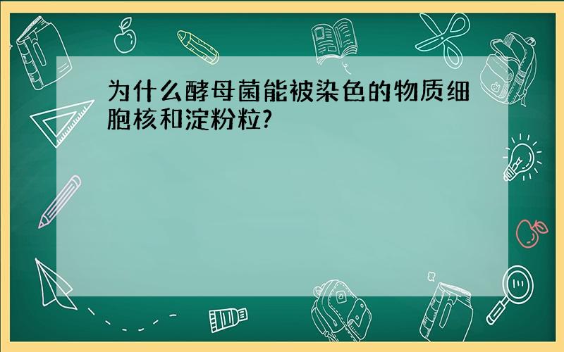 为什么酵母菌能被染色的物质细胞核和淀粉粒?