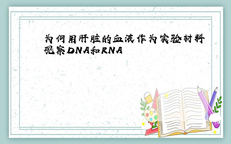 为何用肝脏的血液作为实验材料观察DNA和RNA