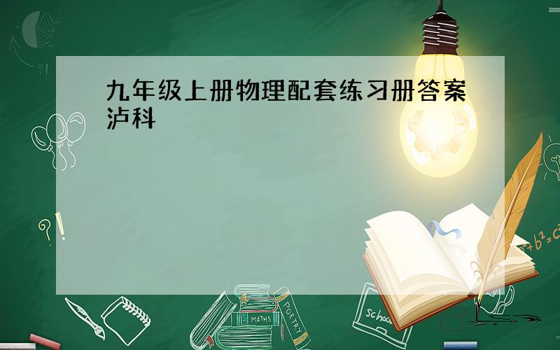 九年级上册物理配套练习册答案泸科