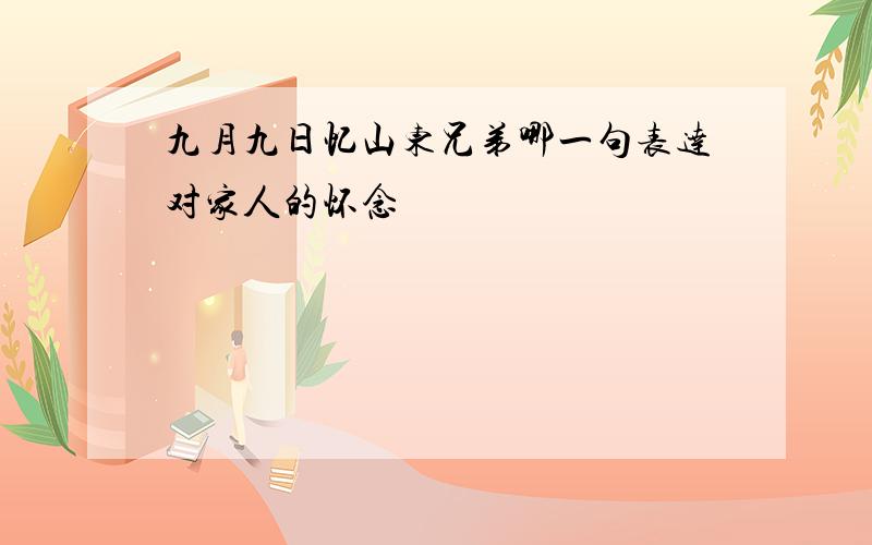 九月九日忆山东兄弟哪一句表达对家人的怀念