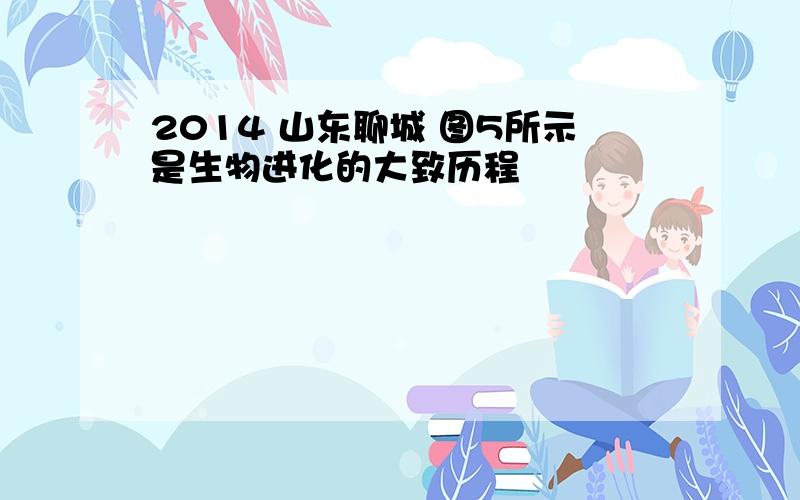 2014 山东聊城 图5所示是生物进化的大致历程