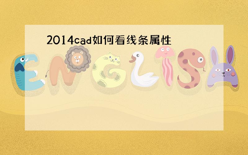 2014cad如何看线条属性